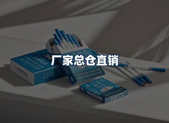 专业团队办公环境